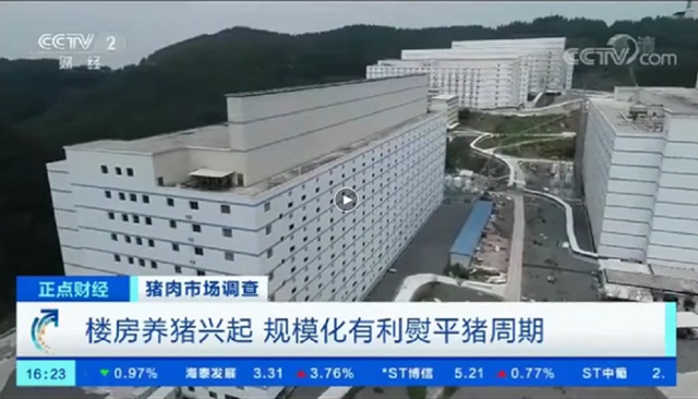 Empresa chinesa realiza produção de suínos em prédios de até 13 andares