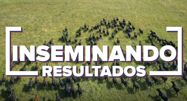 Inseminando Resultados: CRV estreia programa semanal no Canal do Boi