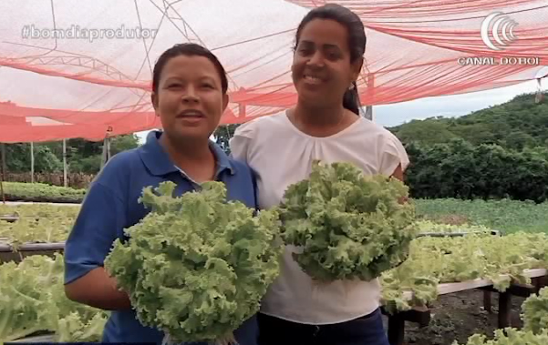 Mulheres lideram cooperativa em MS
