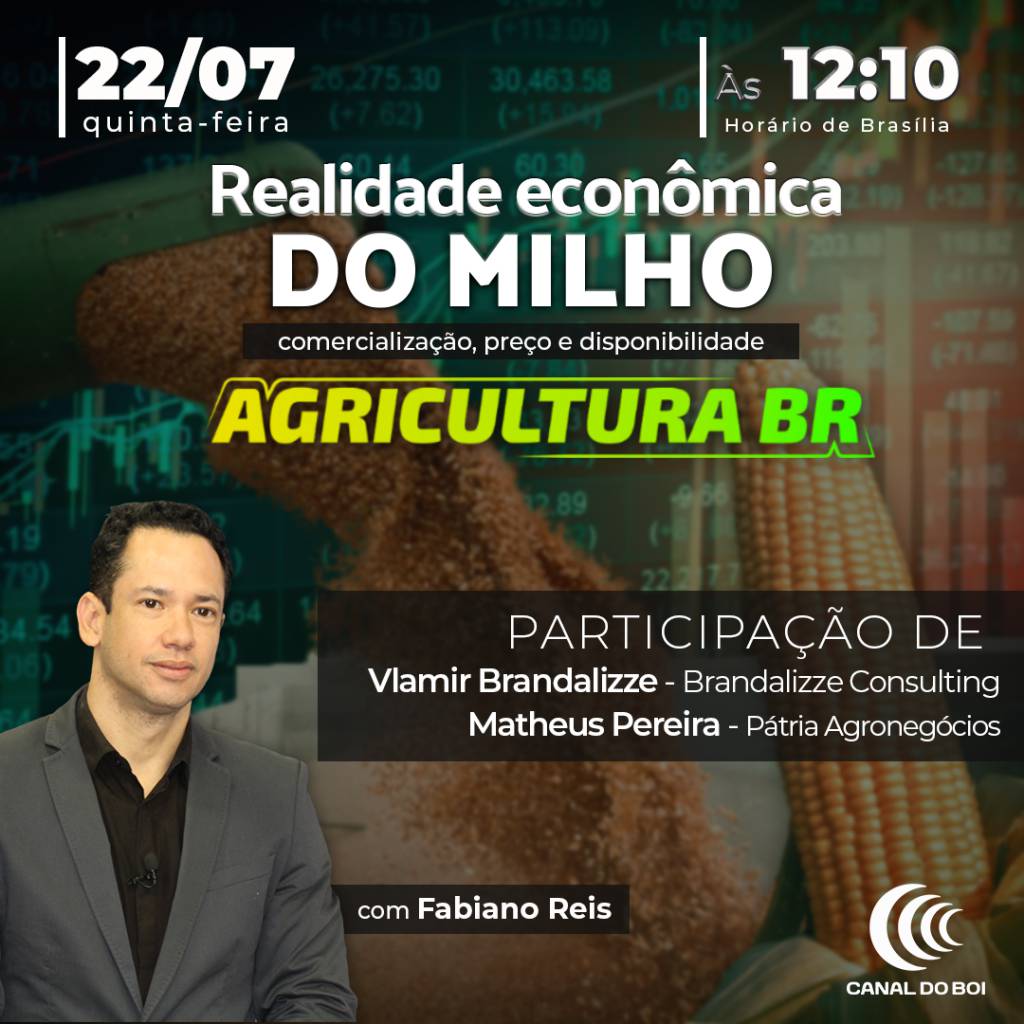 Baixa oferta de milho deve manter mercado em alta, diz Vlamir Brandalizze