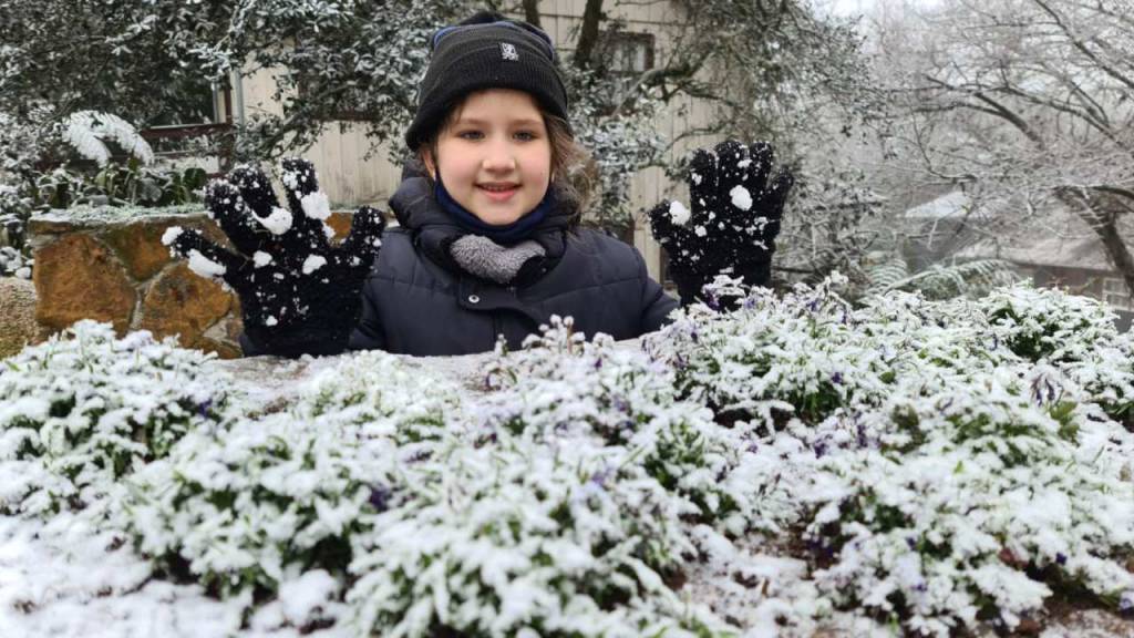 Neve produz belos cenários na Serra Catarinense 
