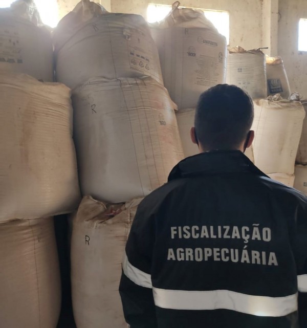 Operação no Rio Grande do Sul apreende 667 toneladas de sementes sem origem