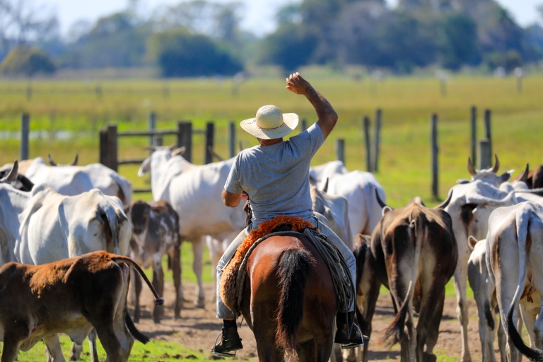 Desemprego recua para 13,9% no 4º trimestre de 2020; ocupação no agro cresce 3,4%