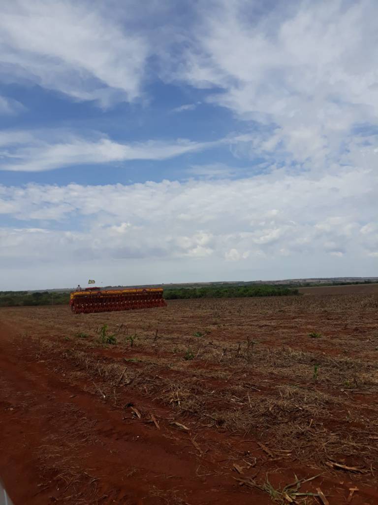 Soja em MS: produtor espera colher 65 sacas por hectare