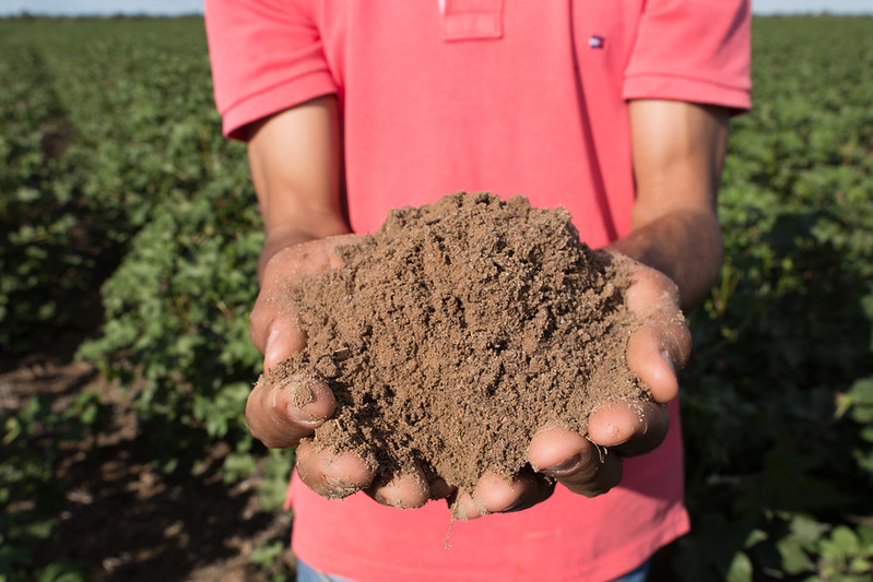 Garantia-Safra irá beneficiar mais de 25 mil agricultores familiares