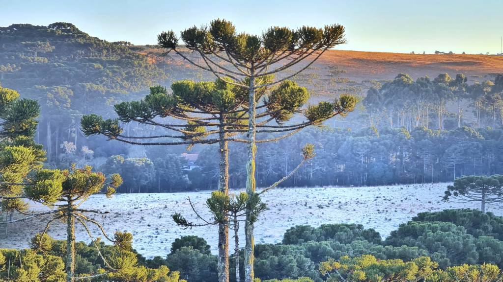 Serra Catarinense tem 10 cidades com temperaturas abaixo de zero