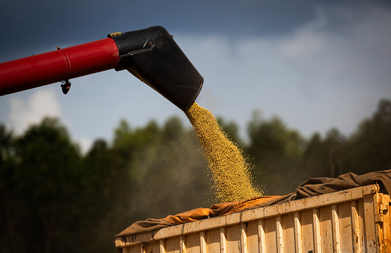Produtividade da soja no MS atinge recorde de quase 63 sacas por hectare na safra 20/21
