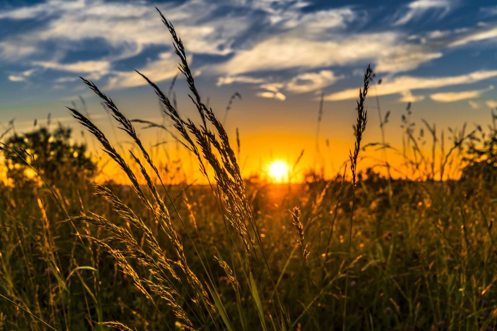 Temperaturas seguem elevadas na maior parte do Brasil. Veja a previsão para amanhã