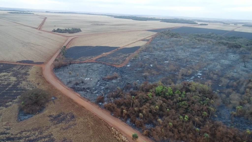 Usina é multada em mais de R$ 2,5 milhões por incêndio em reserva ambiental