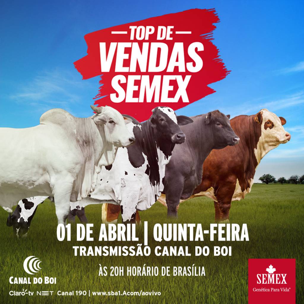 Semex realiza Top de Vendas hoje no Canal do Boi