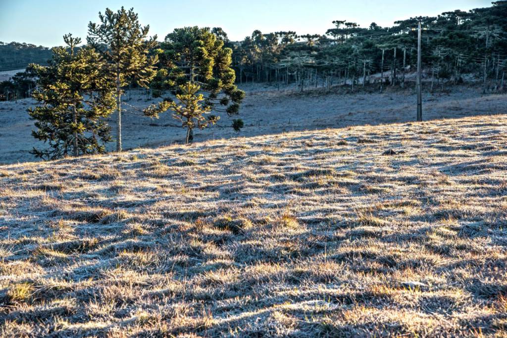 Gaúchos terão mais uma semana com frio e risco de geada