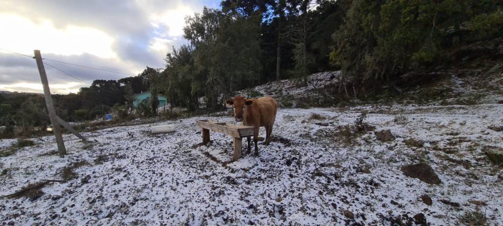 Serra Catarinense recebe neve na noite de ontem; confira imagens