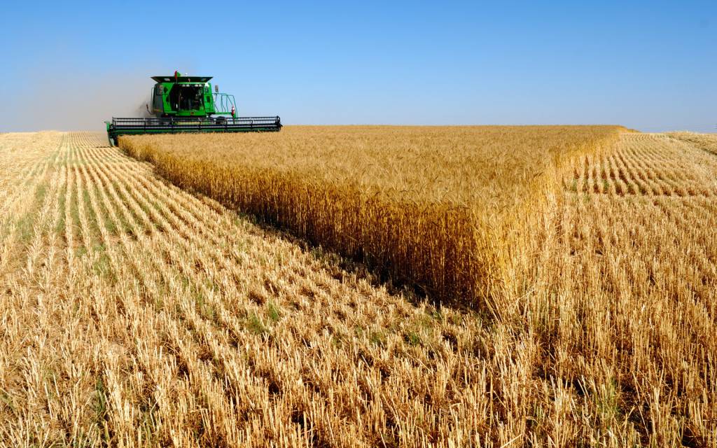PIB brasileiro cresce 7,7% no terceiro trimestre; agropecuária cai 0,5%