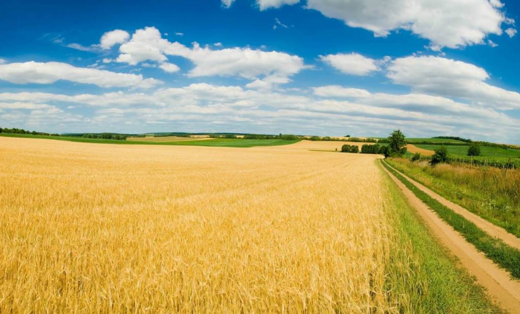 La Niña pode trazer primavera seca ao RS; saiba como se preparar neste caso