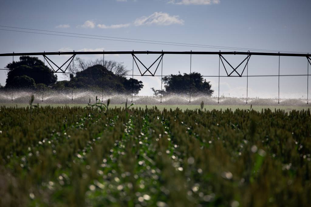 PIB agropecuário pode crescer 3,2% em 2021, diz Ipea