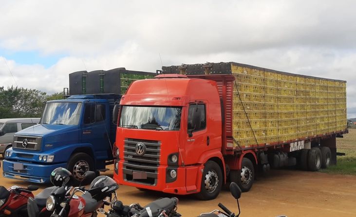 Abate clandestino: polícia apreende 2 toneladas de carne bovina e 6 mil galinhas