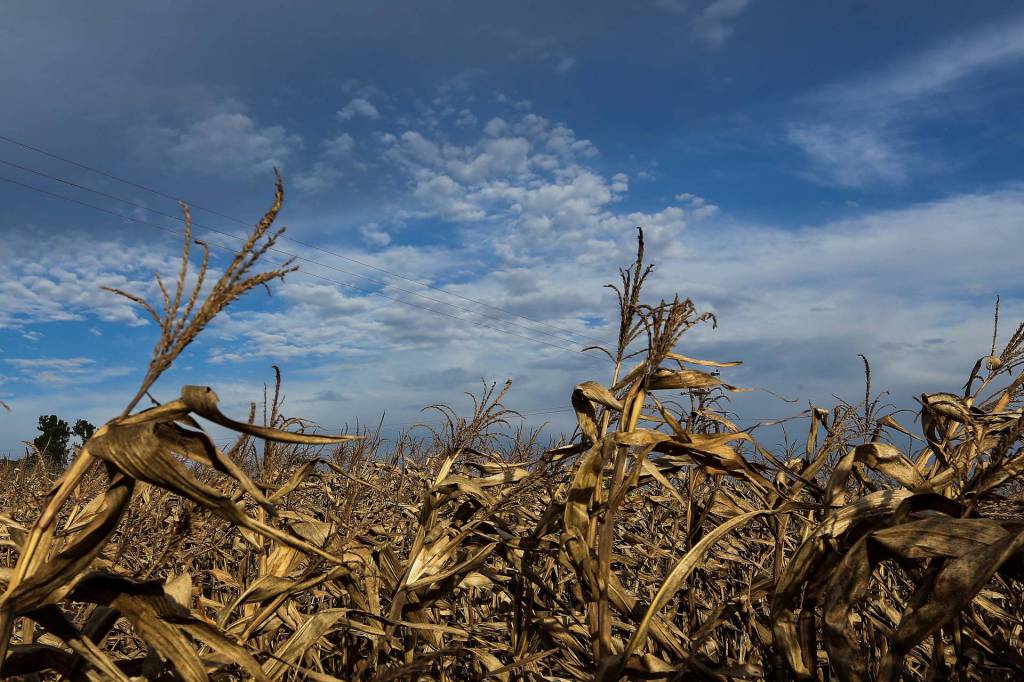La Niña 2021 deve reduzir chuvas e causar mais calor, prevê instituto 