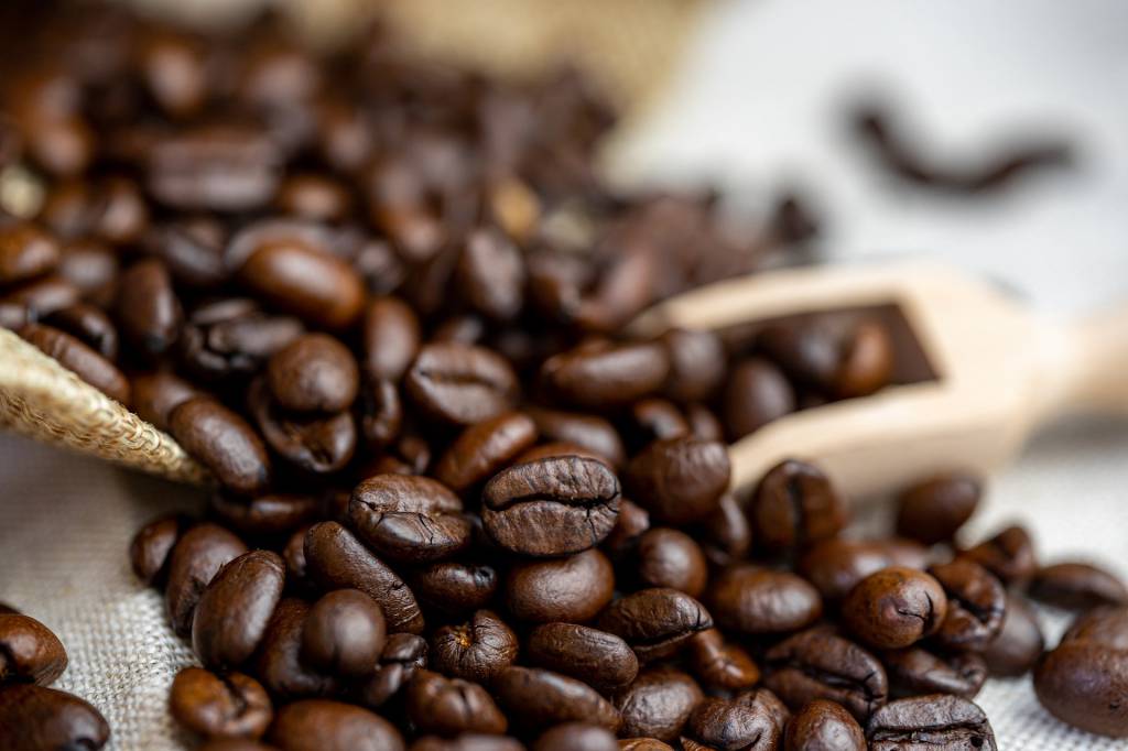 Produção da safra de café 2020/21 deve ser elevada, aponta Cepea