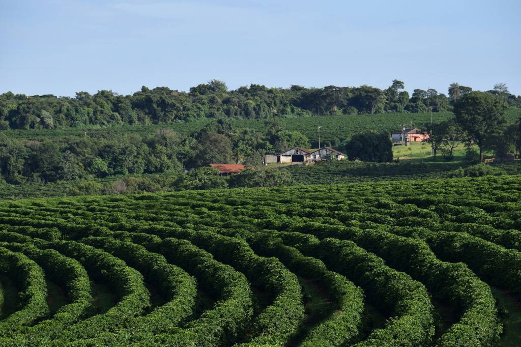Pesquisa para os próximos levantamentos de grãos e café ocorre em Minas Gerais