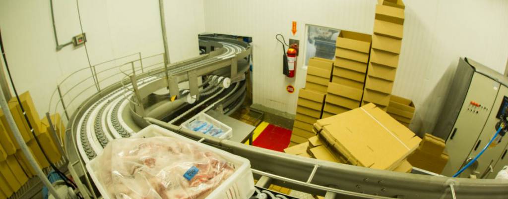 Venda externa de carne suína bate recorde em 2020