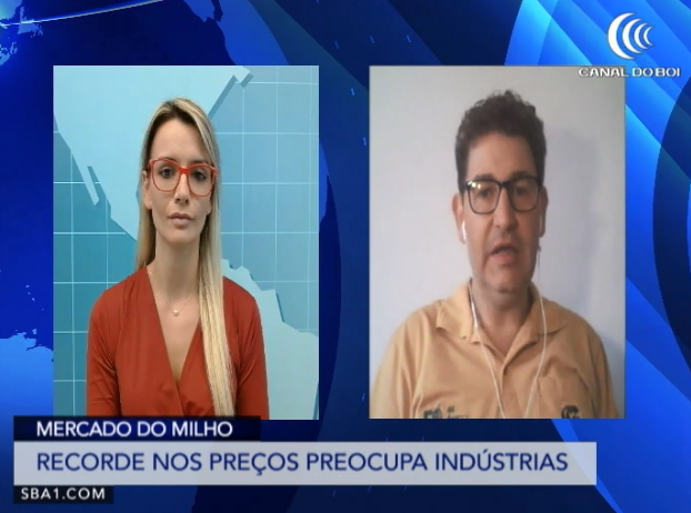 Recorde no preço do milho preocupa indústrias