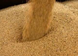 Preços do farelo de soja acompanham o mercado da oleaginosa em grão