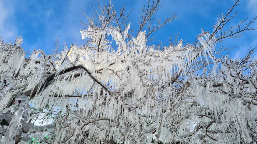 SC registra temperaturas abaixo dos -7°C na manhã desta quarta
