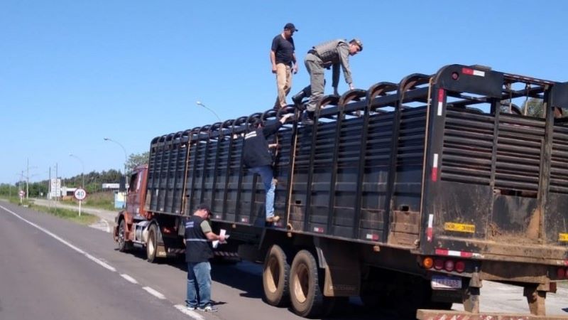 RS cria projeto para fiscalização sanitária na divisa com Santa Catarina