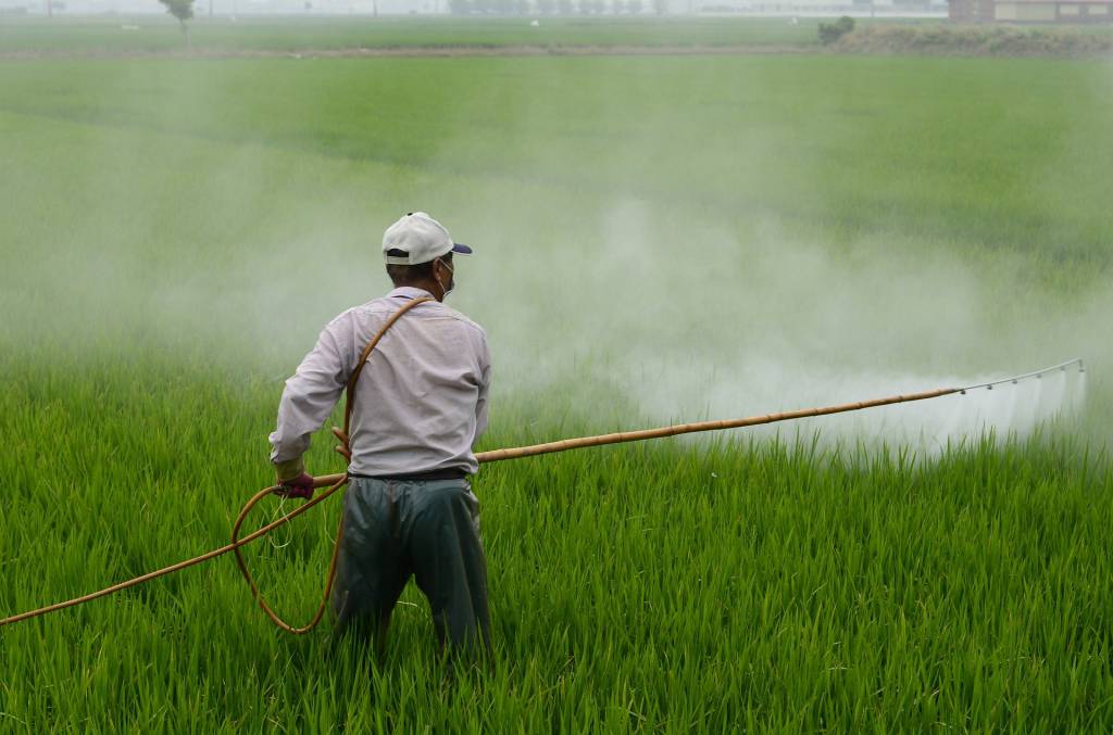 Governo apreende mais de mil litros de fertilizantes e 630 kg de agrotóxicos falsificados