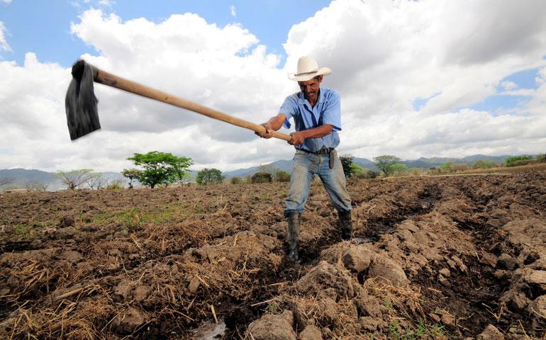 Agro tem maior geração de empregos dos últimos 14 anos
