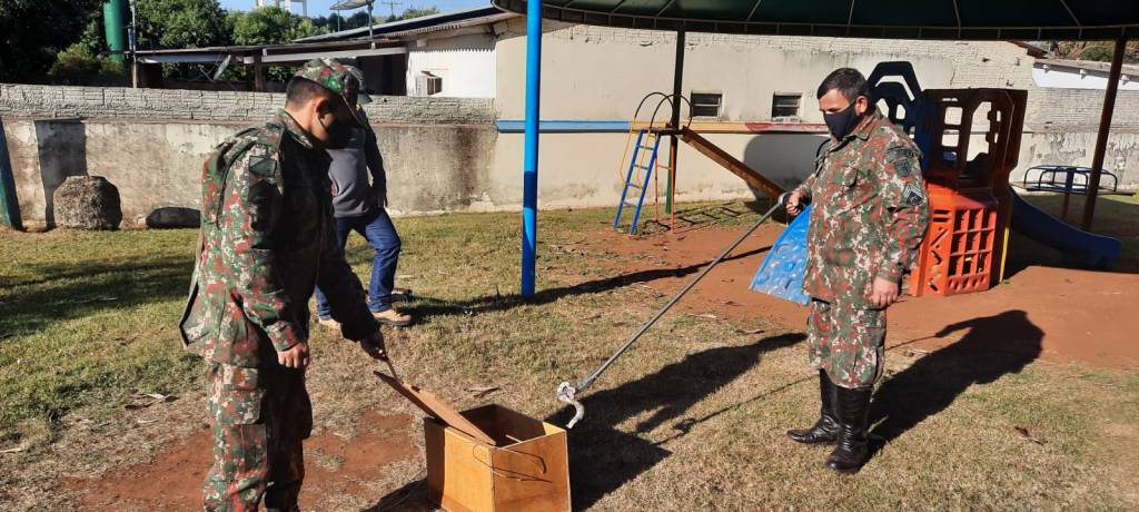 Jiboia é apreendida em pátio de escola, em Bonito