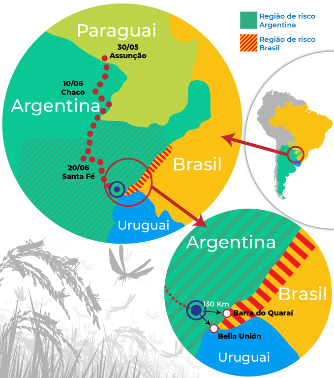 Monitoramento do Mapa aponta que nuvem de gafanhotos não chegou ao Brasil