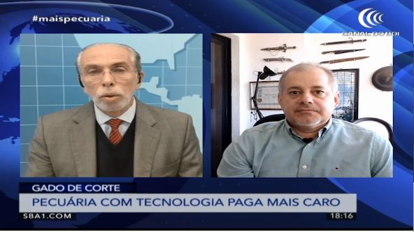 Estudo aponta que tecnologia pode aumentar ganho e produtividade na pecuária de corte
