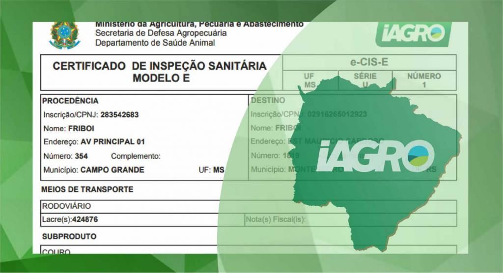 MS torna-se o segundo estado a emitir o Certificado de Inspeção Sanitária por meio eletrônico