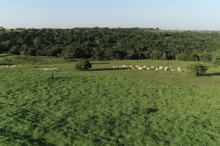 Consultor ressalta importância do seguro paramétrico para o agronegócio