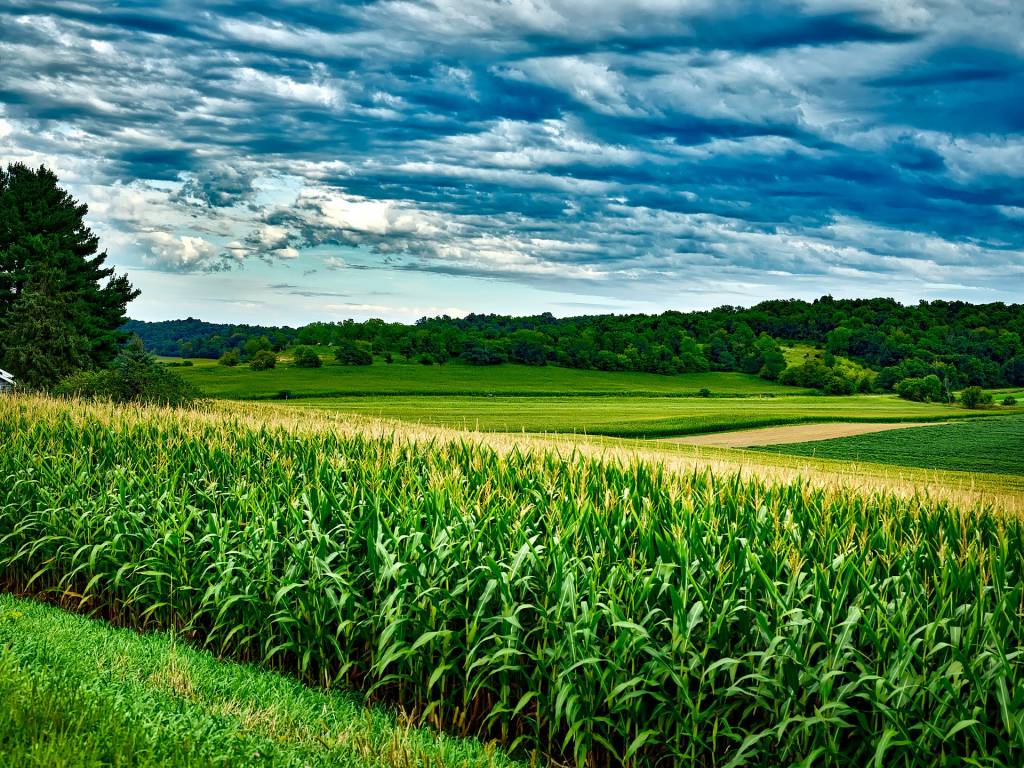Preço de terras agrícolas registra alta de mais de 50% no Paraná