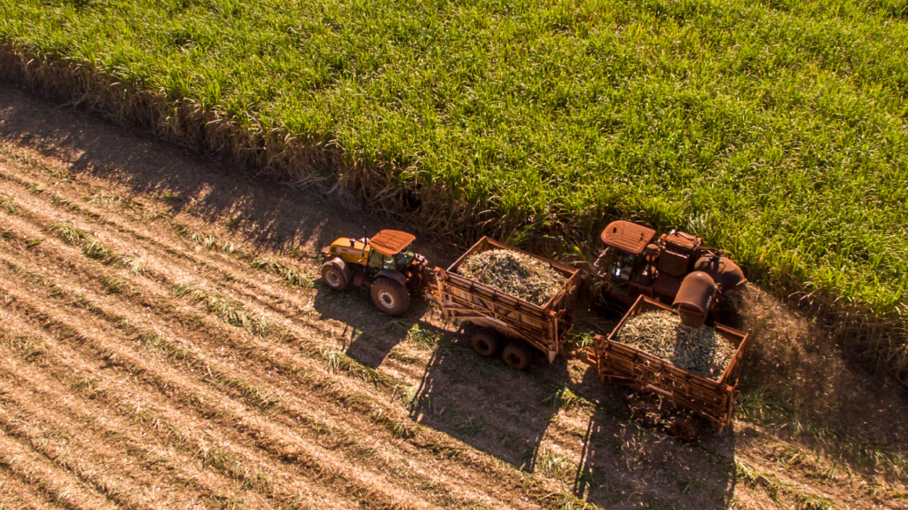 Agro exporta US$ 1 tri na década e representa 49% das vendas externas