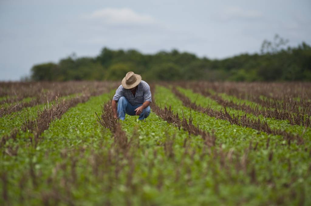 Estiagem pode frustrar produção em Mato Grosso