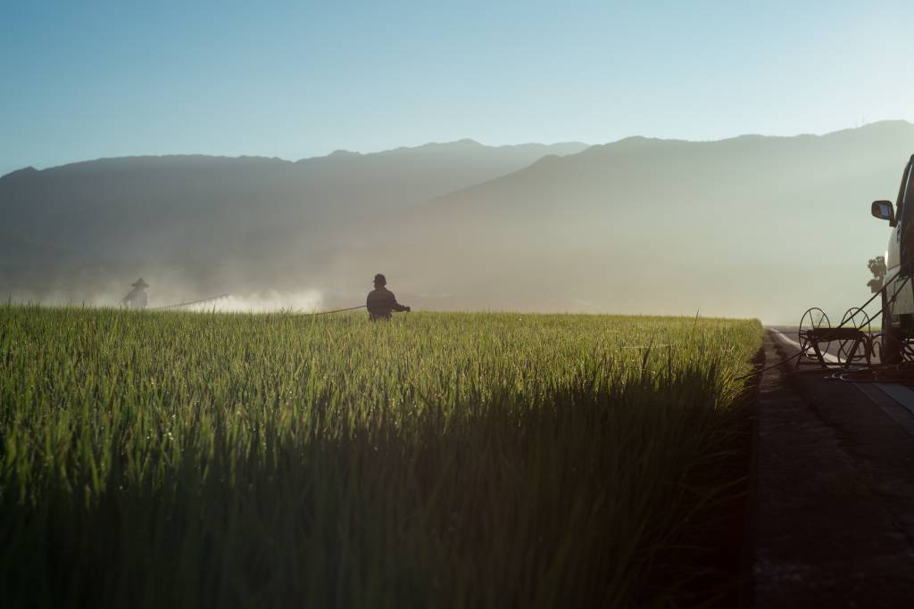 Em 2020, mercado de defensivos agrícolas aplicados teve queda 10,4% no faturamento