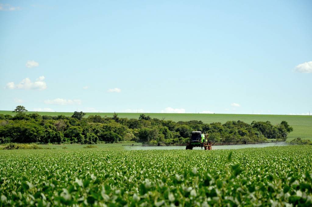 Governo registra 32 produtos técnicos para defensivos agrícolas