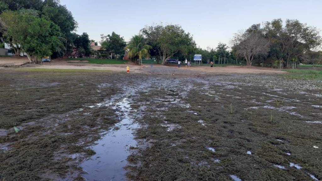 Rios Paraná e Sucuriú sofrem baixa do nível de água  na divisa SP-MS