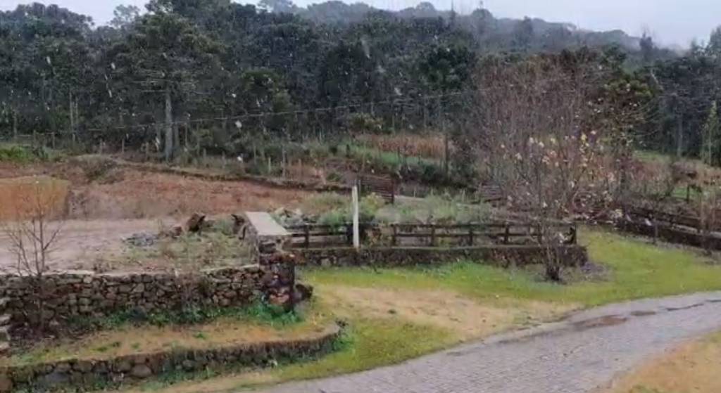 Cidades catarinenses têm primeiro registro de neve deste ano