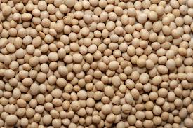 Chuvas vão determinar produtividade da soja em 2021
