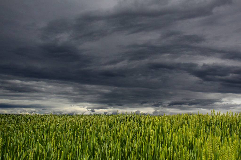 Alerta de chuva forte neste fim de semana