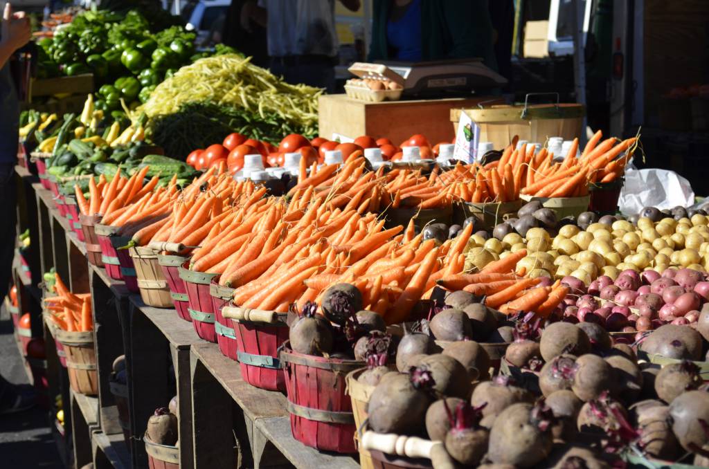Região da Grande Florianópolis tem perda de 50% na produção de hortifrútis