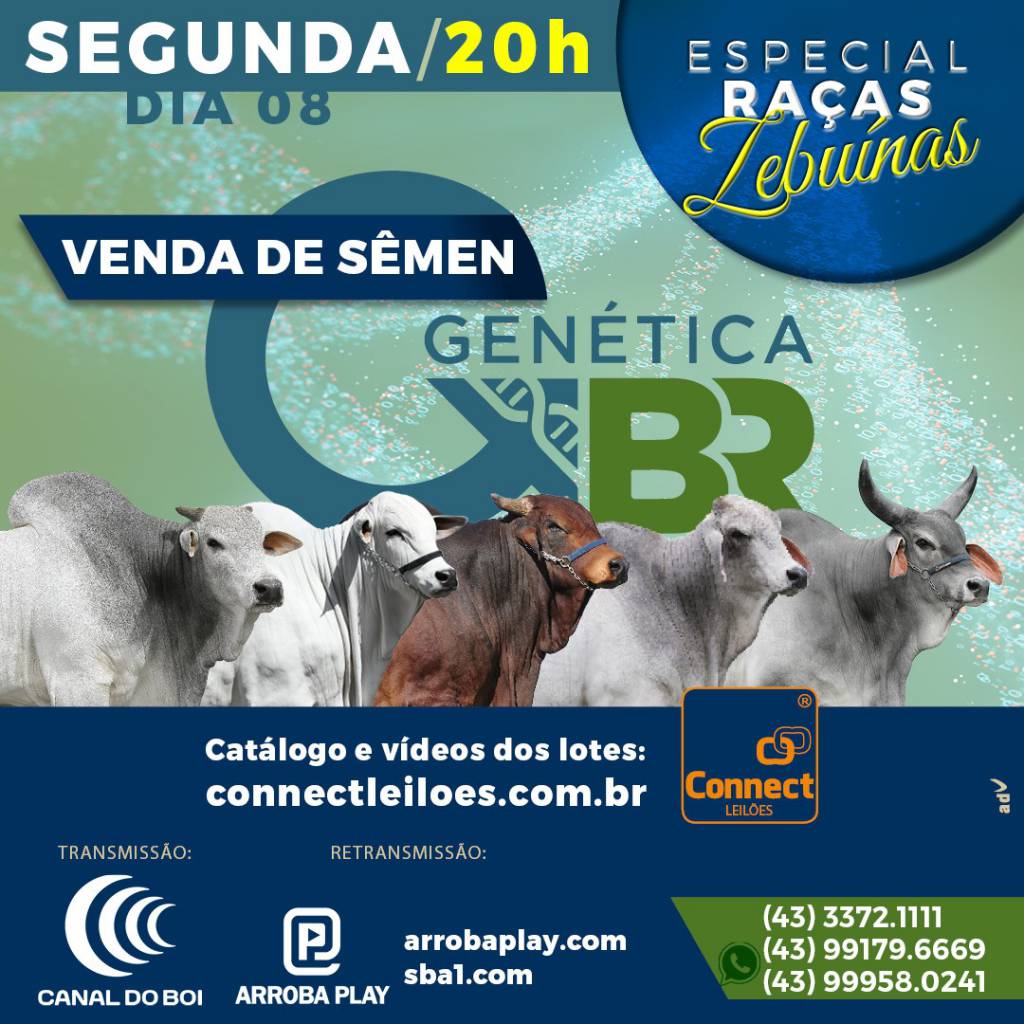 Genética BR realiza especial de genética de raças zebuínas e europeias