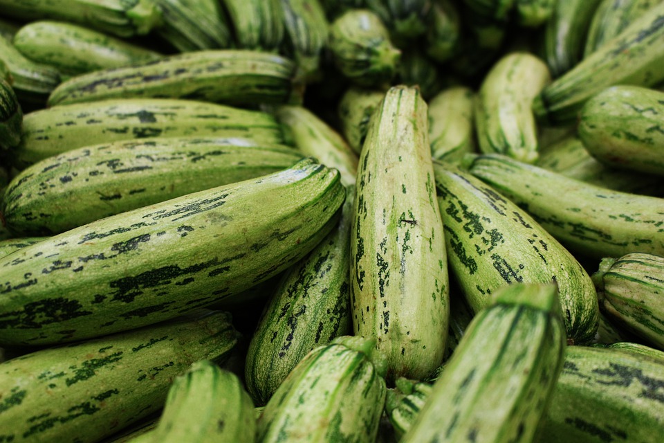 Valor das hortaliças-fruto registra alta de 140% no 1° trimestre em MS